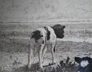 Jac. J. Koeman - Kalfjes in een weiland met verre einder kopen? Bied vanaf 65!