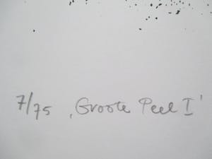 Piet Fioole - Litho "Groote Peel I" kopen? Bied vanaf 45!