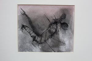 Dirkje Kuik - aquarel/tekening Aram en de bende van de boomstam" + boek waarin tekening staat kopen? Bied vanaf 175!