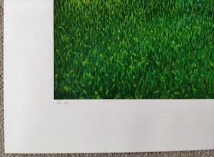 Dolf Zwerver - Fietser met vogelkooi kopen? Bied vanaf 200!