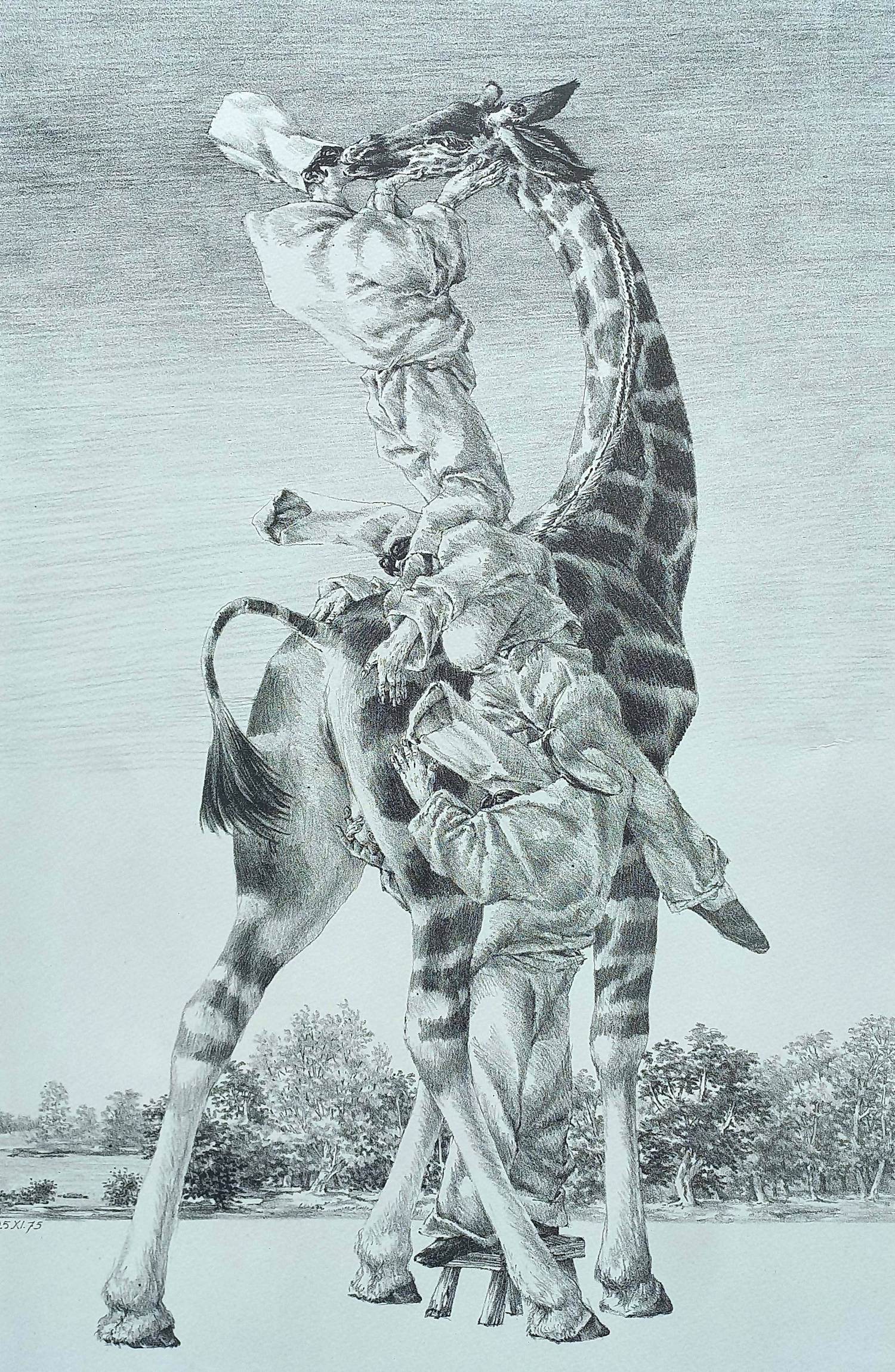 Peter Vos - Gevoelens, litho kopen? Bied vanaf 20!