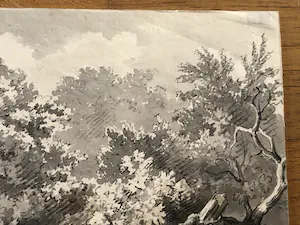 Harry Heijer - Gevelde boom, sepia kopen? Bied vanaf 60!