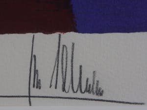 Ton Schulten - Voorjaarsbomen kopen? Bied vanaf 250!