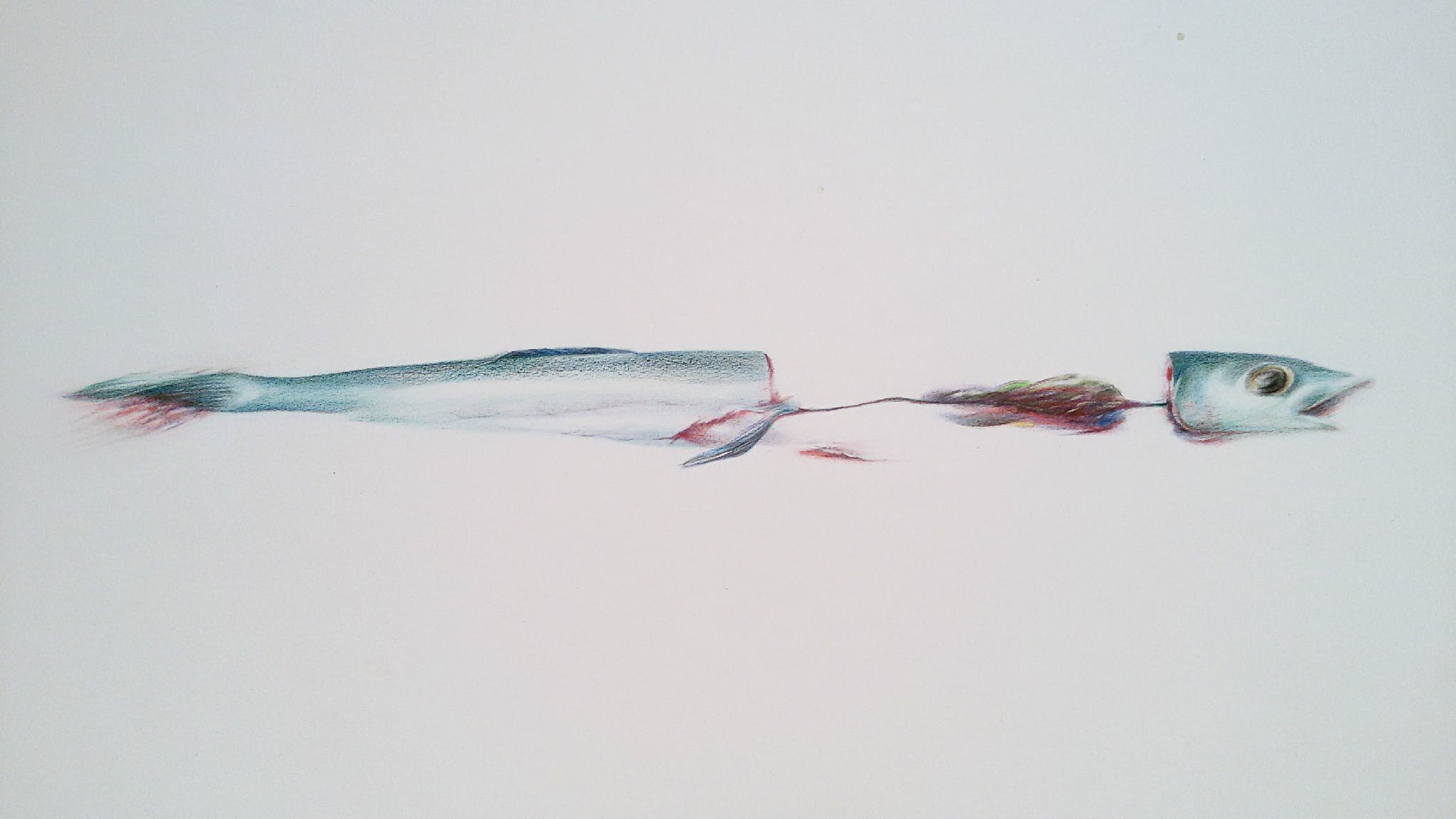 Ton Scheerder - Verse vis, tekening op papier kopen? Bied vanaf 20!