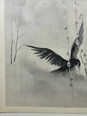 Han van Meegeren - Aalscholver. Zwarte vogel. kopen? Bied vanaf 59!