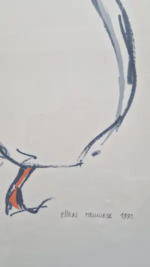 Ellen Meuwese - Weg lopende kip kopen? Bied vanaf 20!