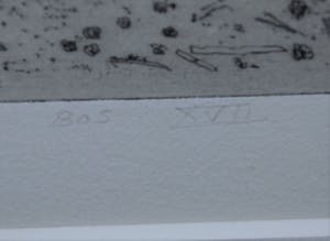 Charles Donker - Handgedrukte ets, oplage 50 - - Bos XVII - definitieve, 4e staat - 1999 kopen? Bied vanaf 350!