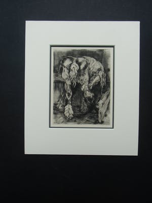 Kuno Brinks - PAARD kopen? Bied vanaf 80!