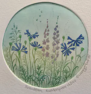 Truusje Mul - Korenbloem Ridderspoor | kleuren ets - ingelijst kopen? Bied vanaf 12!