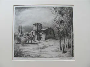 Hans van Dokkum - proefdruk kopen? Bied vanaf 15!