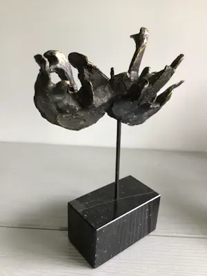 Bernadette Leijdekkers - “ Wilde Zwanen “ kopen? Bied vanaf 99!