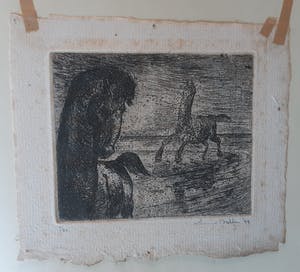 Enno Brokke - Twee paarden kopen? Bied vanaf 35!