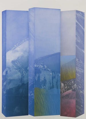 Martin Ware - Aquatint, Shaped Tuinlijck - Ingelijst kopen? Bied vanaf 35!