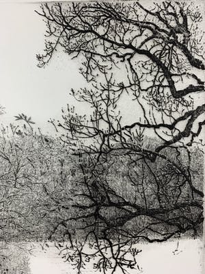 Charles Donker - ets - 'Eendekooi' - Definitieve VIIe staat - 1984 (GROOT) kopen? Bied vanaf 500!