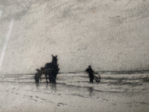 Maarten Langbroek - Langs de Noordzee Garnalenvisser Paarden kopen? Bied vanaf 35!