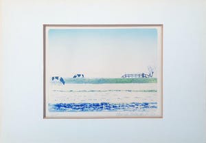 Hans den Hollander - kleurenets met koeien in de wei - 2/15 kopen? Bied vanaf 25!