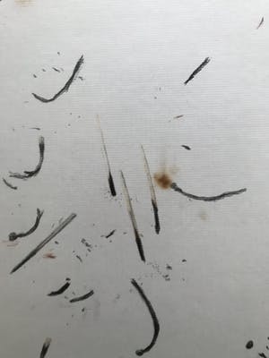 Jacques Slegers - Zonder titel kopen? Bied vanaf 100!