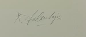 Kees Salentijn - Zeefdruk, Hommage aan Van Gogh IV kopen? Bied vanaf 50!