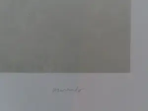 Armando - Der Zaun kopen? Bied vanaf 50!