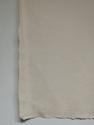 Ferdinand Springer - kein Titel kopen? Bied vanaf 150!