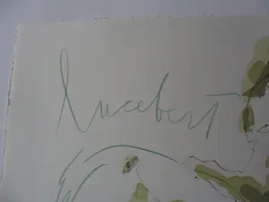 Lucebert - steendruk - 1993 kopen? Bied vanaf 200!