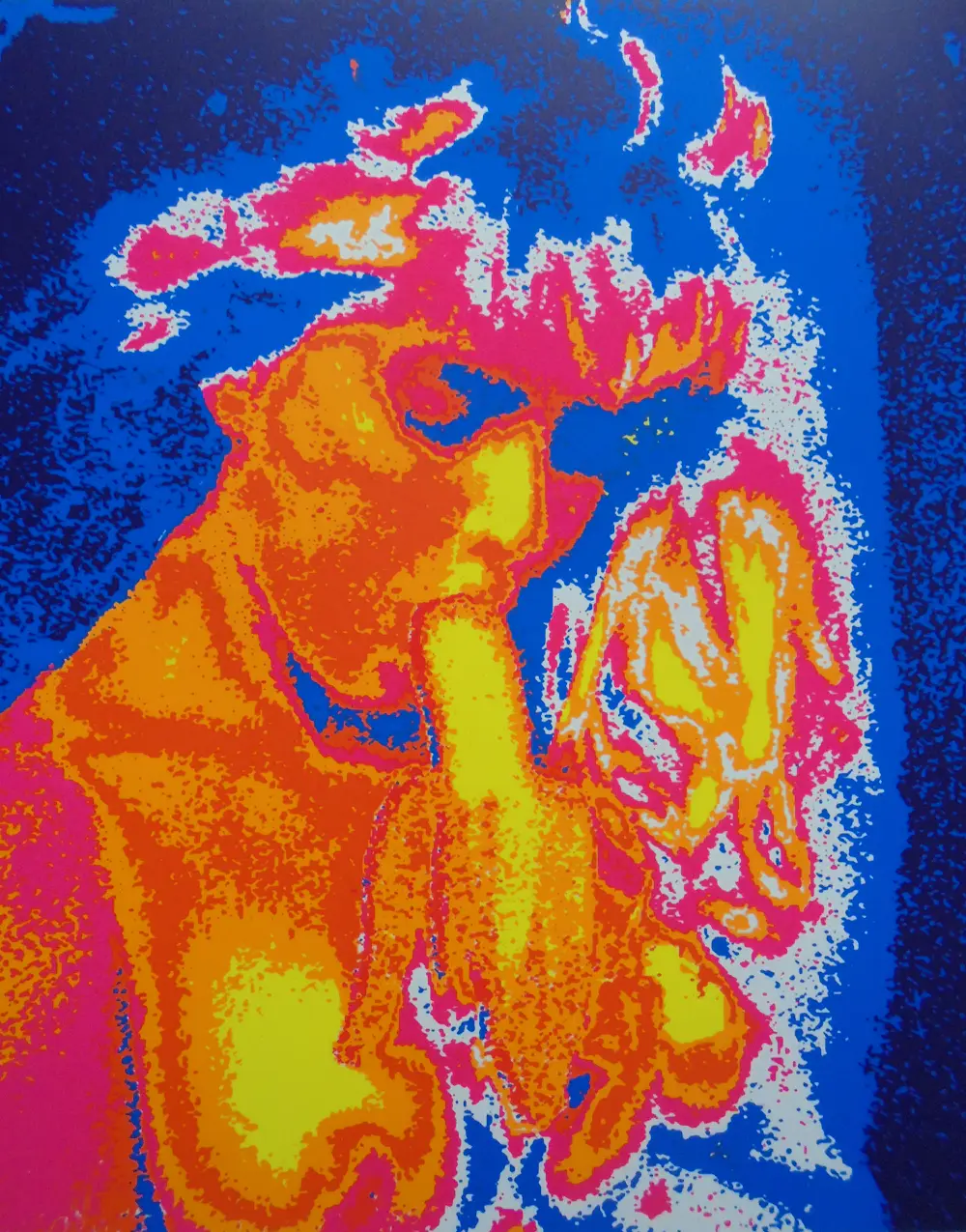 Henk van der Vet (1939)