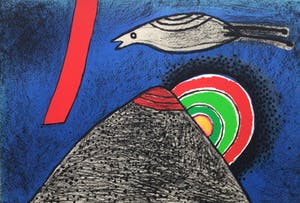Corneille - l'oiseau noir à tête rouge - e.a. exemplaar kopen? Bied vanaf 175!