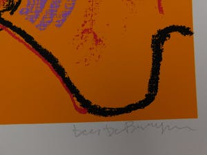 Dees De Bruyne - Homme Orange kopen? Bied vanaf 25!