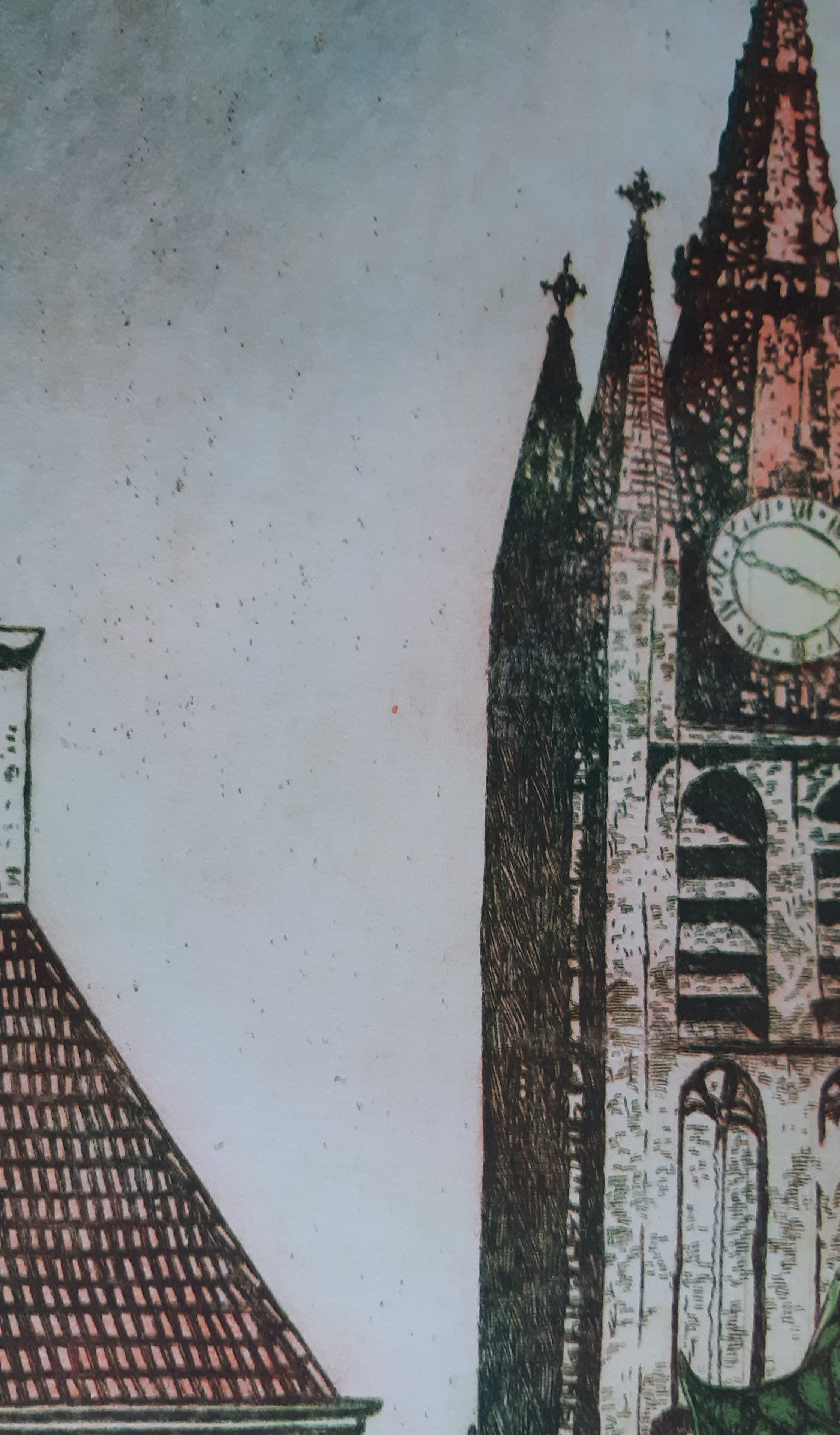 Annemarie Petri - de botanische tuin kopen? Bied vanaf 20!