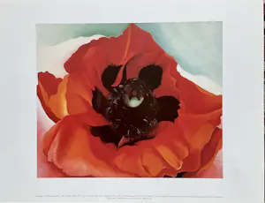 Georgia O’Keeffe - Set van drie prints,Klaproos,Trompetbloem en Bladeren Patroon kopen? Bied vanaf 30!