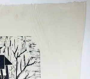 Jeanne Bieruma Oosting - Linosnede, Vogelhuisje kopen? Bied vanaf 1!