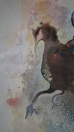 Bas Haasnoot - Steltloper kopen? Bied vanaf 20!