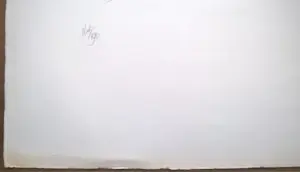 Peter Vos - Schiereiland melancholie- gesigneerde litho kopen? Bied vanaf 70!