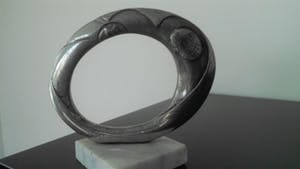 Corry Ammerlaan - Metalen ring kopen? Bied vanaf 29!