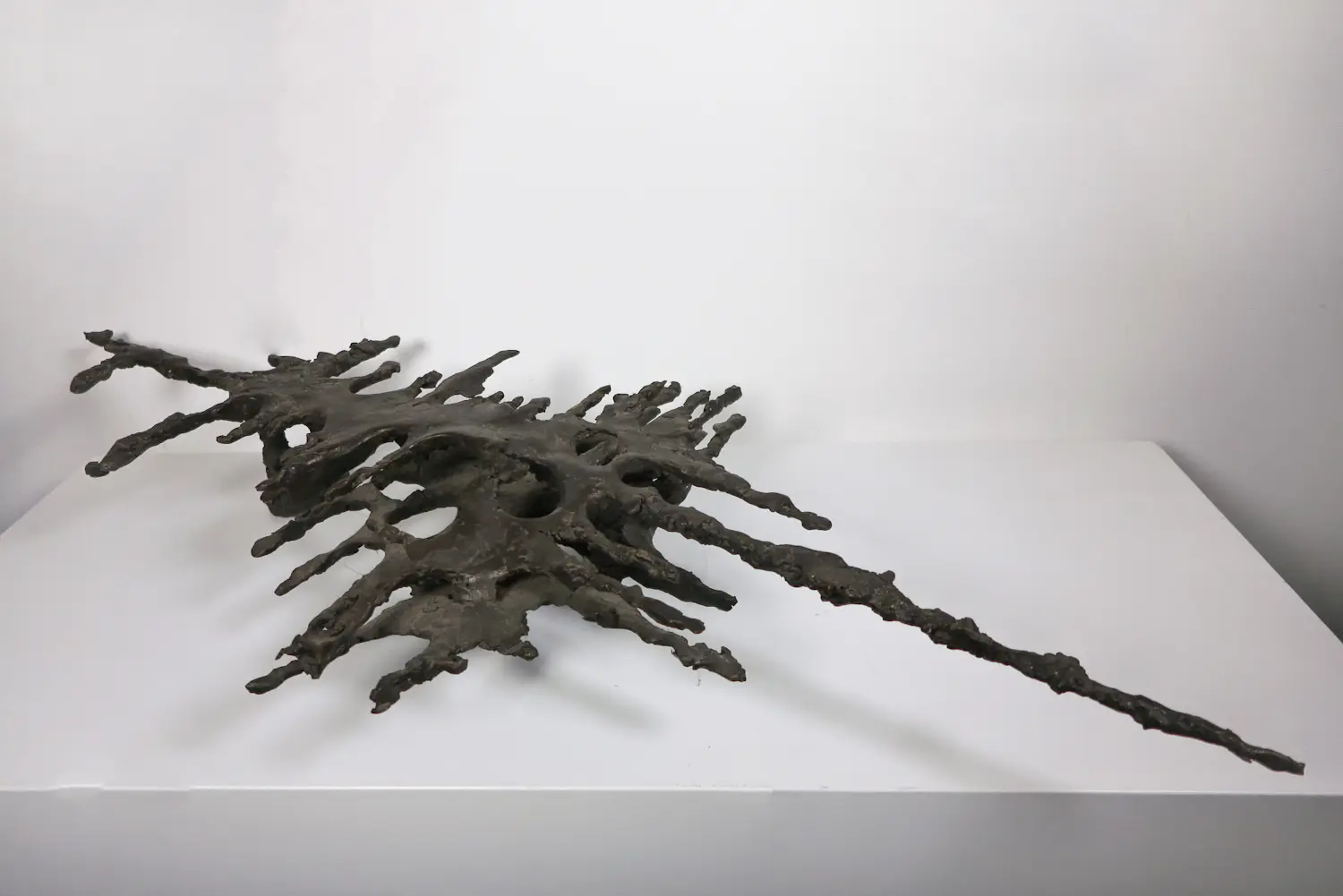 Toon Slegers (1929-2004)