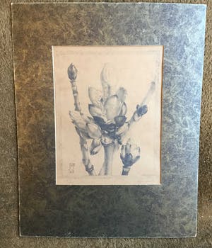 Jan Voerman - 8472 - Bloesem kopen? Bied vanaf 100!