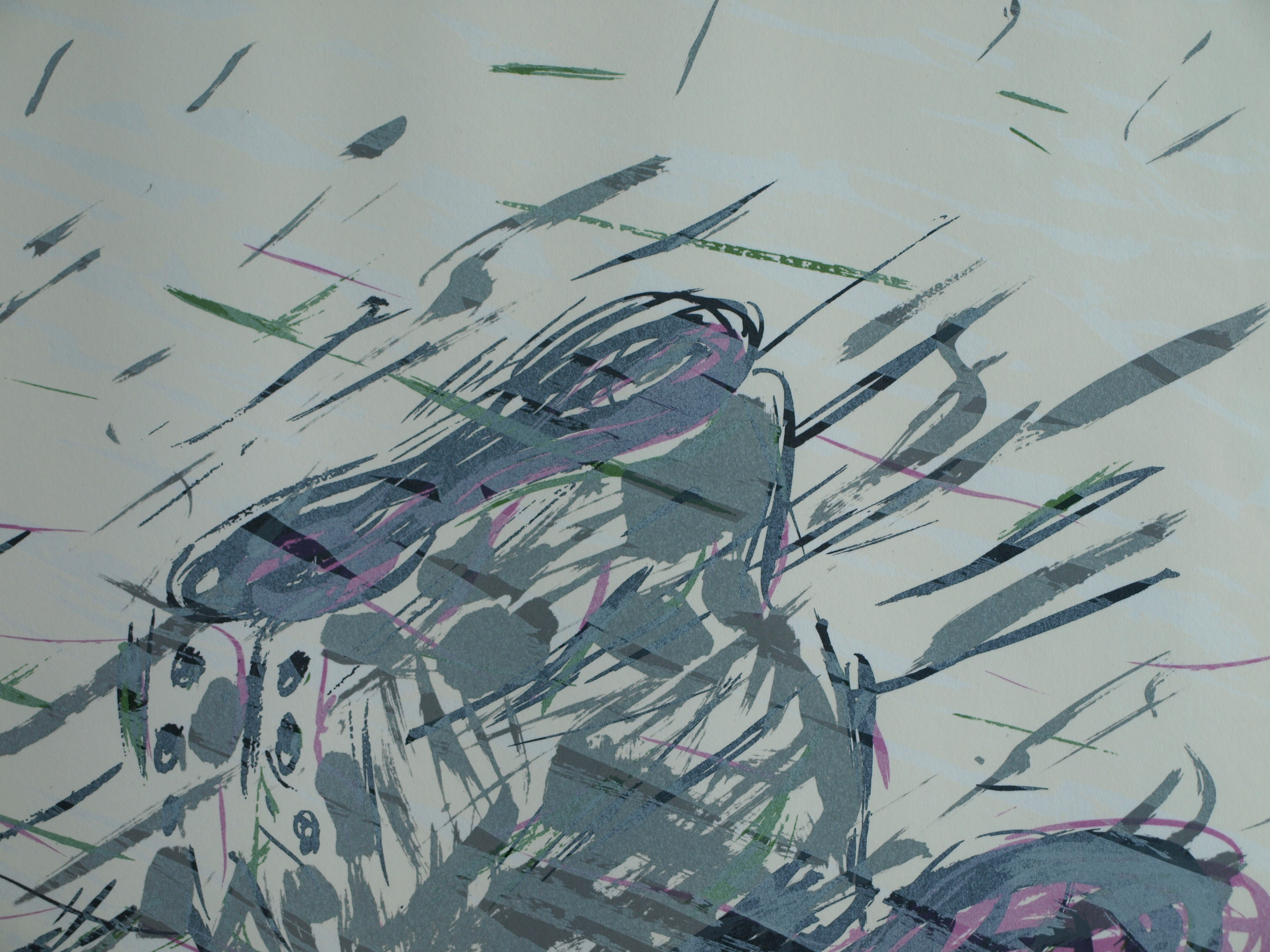 Frank Daalder - Zeefdruk , Schoen onder water – gesigneerd & ingelijst - 1977  kopen? Bied vanaf 1!