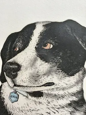 Arja van den Berg - Ets, Hondje hand gesigneerd 14/20 kopen? Bied vanaf 35!