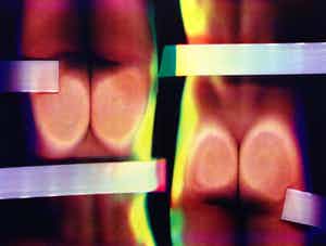 Lieve Prins - Diptyco verkocht voor € 80!