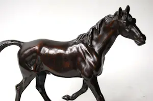 Irénée Rochard - Paard in draf kopen? Bied vanaf 2000!