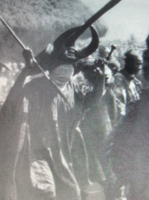 Baule - Olifant masker. kopen? Bied vanaf 40!