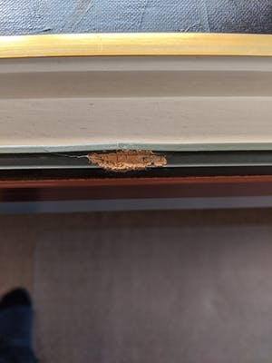 Gerardus Johannes Ernens - Zonnebloemen kopen? Bied vanaf 1!