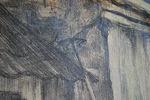 Theo Dijkwel - litho - ganzen op een erf - ingelijst kopen? Bied vanaf 35!