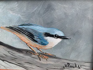 Henk Poeder - Boomklever kopen? Bied vanaf 50!