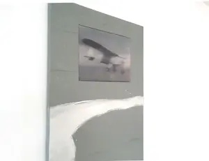 Erwin van Krey - Plane kopen? Bied vanaf 250!