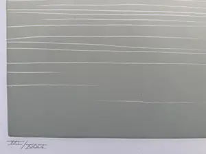 Ronald Tolman - Handgesigneerde kleurenets | 'Le roi de la plage' | 1988 kopen? Bied vanaf 120!