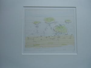 Co Westerik - MEISJE, WATER EN PLANTEN kopen? Bied vanaf 160!