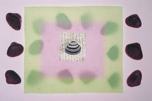 Mark Verdoes - C-print, Natura zwart-wit schelp kopen? Bied vanaf 1!