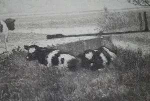 Jac. J. Koeman - Kalfjes in een weiland met verre einder kopen? Bied vanaf 65!