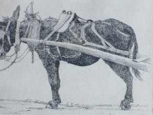 Johannes Henrichs - Ezeltje - Ets kopen? Bied vanaf 40!